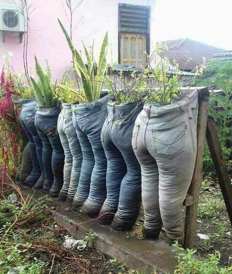 Multigloves's tweet photo. leuke potten #groenevingers #tuin #handschoenen #jeans https://t.co/TZ8HUugNiO
