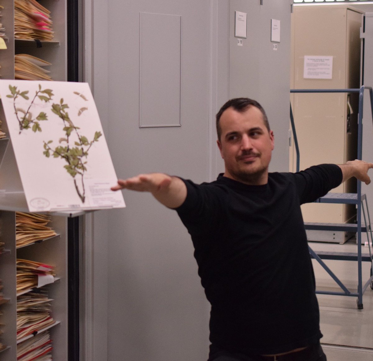 MuseumofNature's tweet photo. Plant yoga? Yup! Learn some yoga poses as you learn about Arctic plants with @paul_sokoloff at #ScienceByNight today, 5-9pm. Free! https://t.co/l1iYtufEeO https://t.co/U9VpAoKnjS