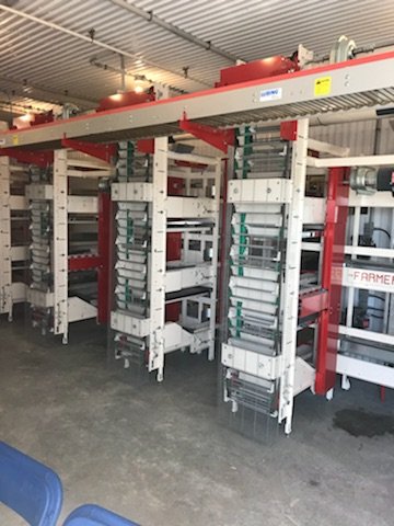 ClarkAgSystems's tweet photo. Open house at Clover Springs in Manitoba is in full swing! Stop by to see the first @farmerautomatic ECO II fully enriched housing system in Manitoba! #layerhousing #layers #enrichedhousing https://t.co/UdEhrtclMF