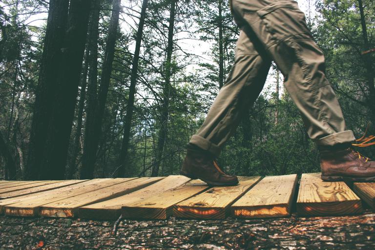 Experiencing grief or loss? The Good Grief walking program offers a gentle, accessible, guided walk through nature, to observe, to chat, to enjoy fresh air and the natural world in Fish Creek Provincial Park. ow.ly/4EPF30jsDE3