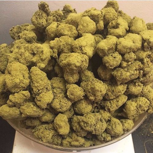 Freeman806's tweet image. Me and my workers ...asking you out there . Did your Doctor not tell you marijuana works for pregnant women ??