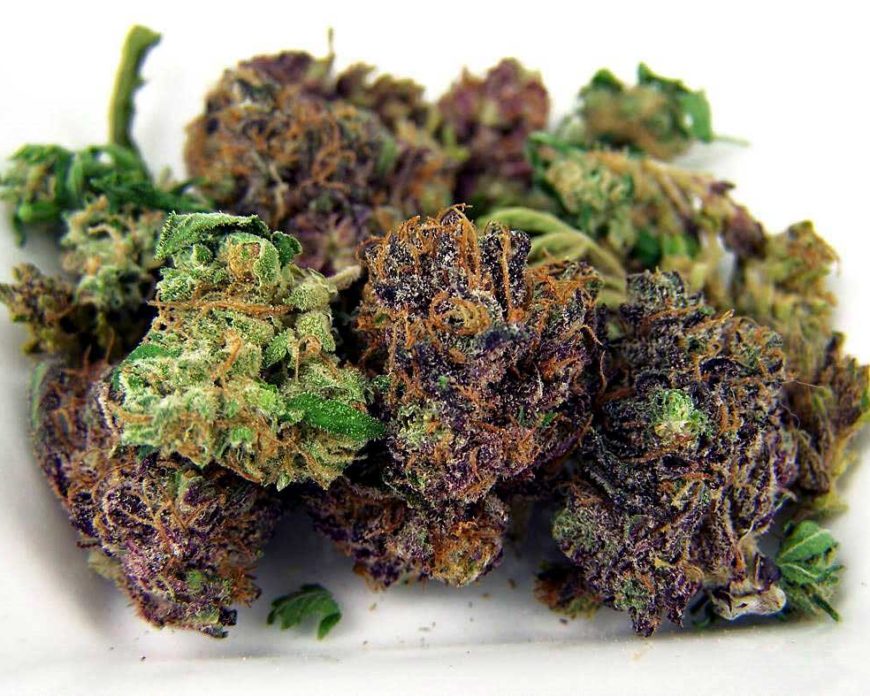 Freeman806's tweet image. Me and my workers ...asking you out there . Did your Doctor not tell you marijuana works for pregnant women ??