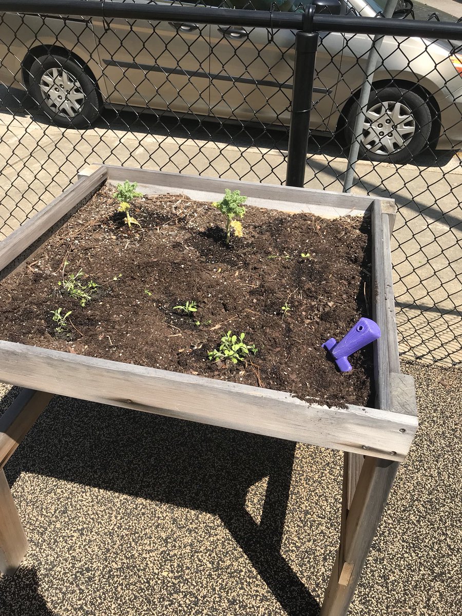 LMEspecialneeds's tweet photo. Day 4 of #EarthWeek ✅ Our boys learned about growing a garden and planted their sprouts that they’ve been growing on the Always Dream Playground! 🌱🌿🌸 @Lead_Mine @Aaronmarcin https://t.co/j4Z9UhY7At