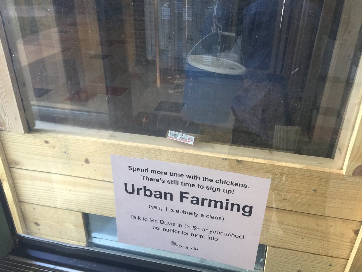 cville_dsa's tweet photo. Love working for a school system that is in the city but I still can see chickens outside my office....#countrycitylife #urbanfarming #awesomeprograms@chs https://t.co/wVu8Mw32sr