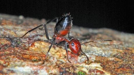 View image on Twitter