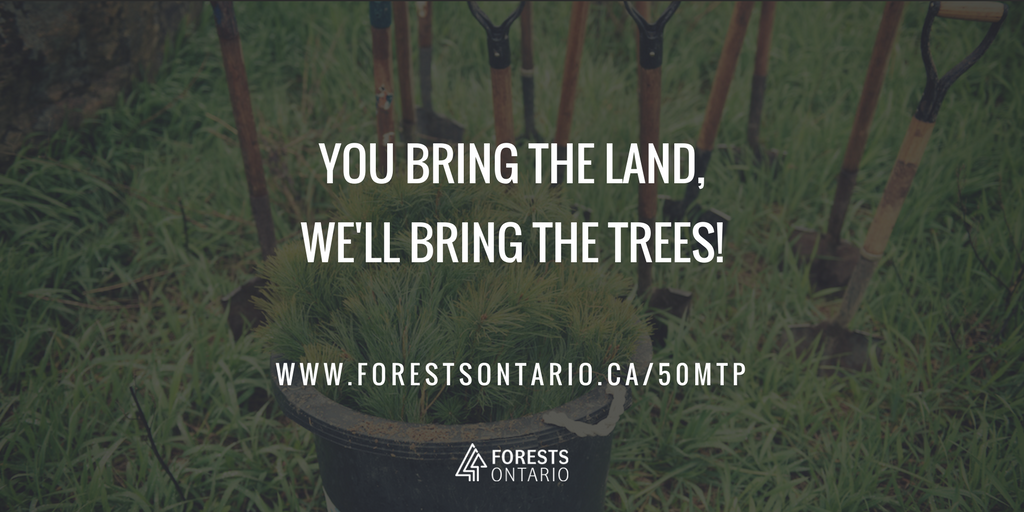 forestscanada's tweet photo. See if you qualify for the 50 Million Tree Program today! https://t.co/9Ks5lxA1bF #50Daysof50MTP #50MTP https://t.co/kFN9Z2biVZ