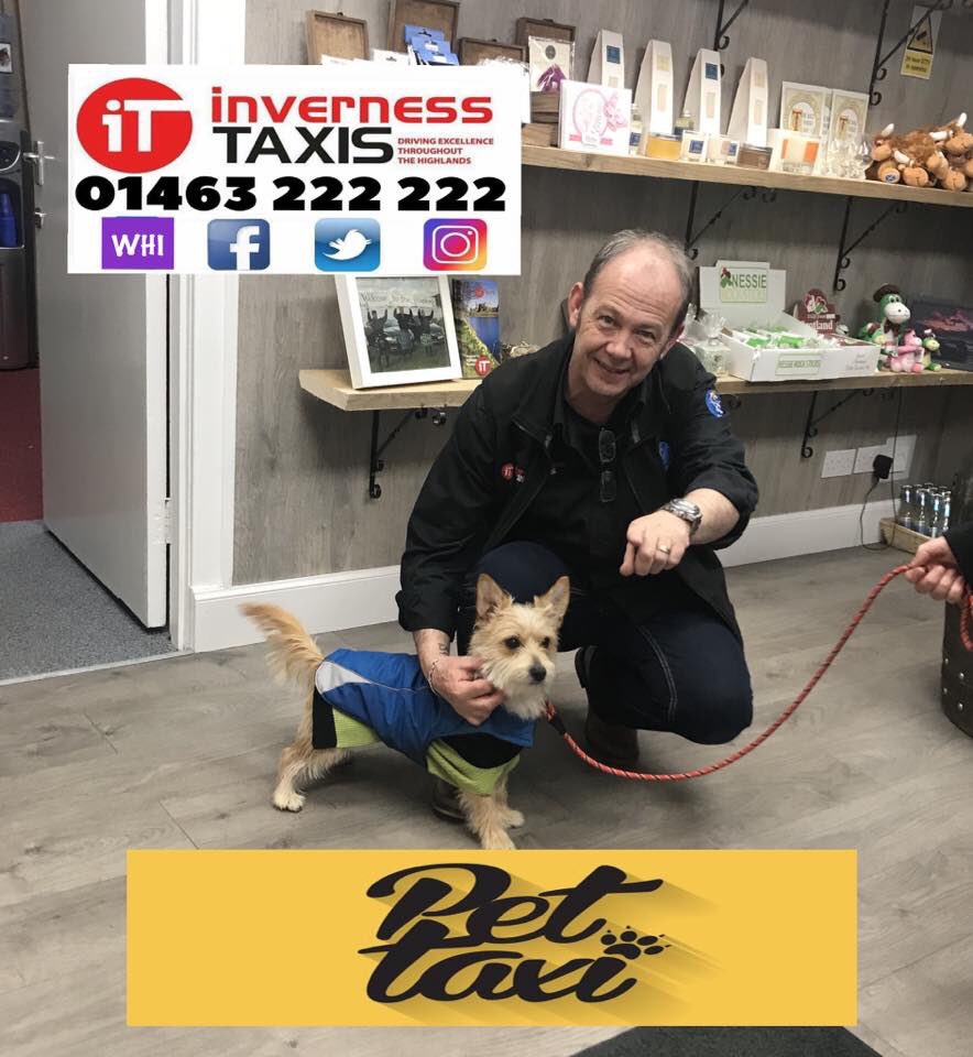 InvernessTaxis's tweet photo. Hello again everyone! Time to enjoy another #HighlandsHour & I wanted to show off Dougie here who took a pic with this cute doggie last Friday! Did you know our taxis are pet friendly? :) #HighlandsHour #ITTaxis https://t.co/YNAwePOh4o