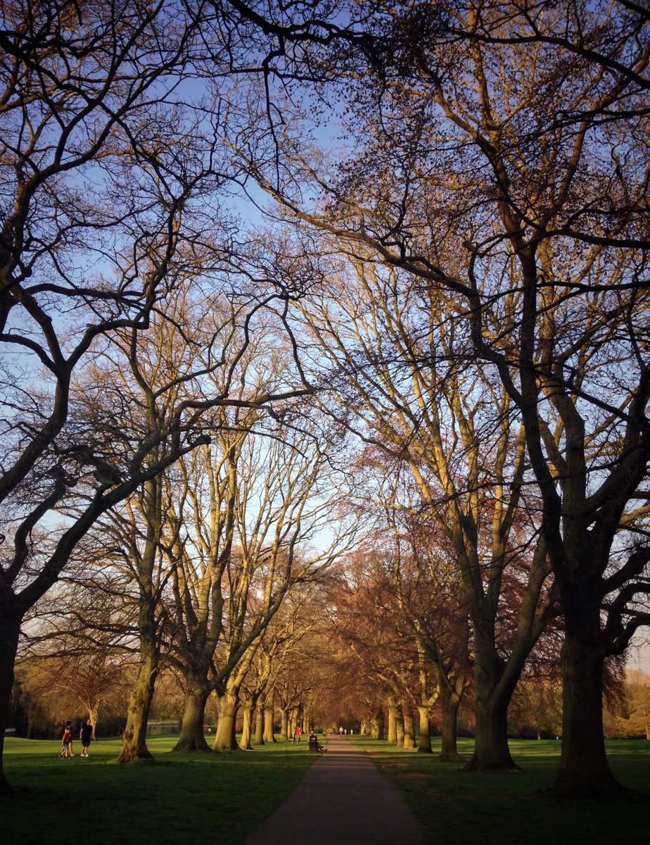 Icarus_978's tweet image. Loving the sunny evenings... #hellorealworld #sunshine #shortson #afterworkescape #northampton #lookinggood #trees #getoutside #abingtonpark @NNweather