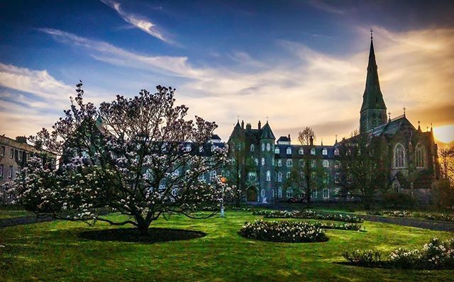 Peter113355's tweet photo. Lovely evening for walk around grounds of Maynooth university #maynoothuniversity https://t.co/PslacsiZvH