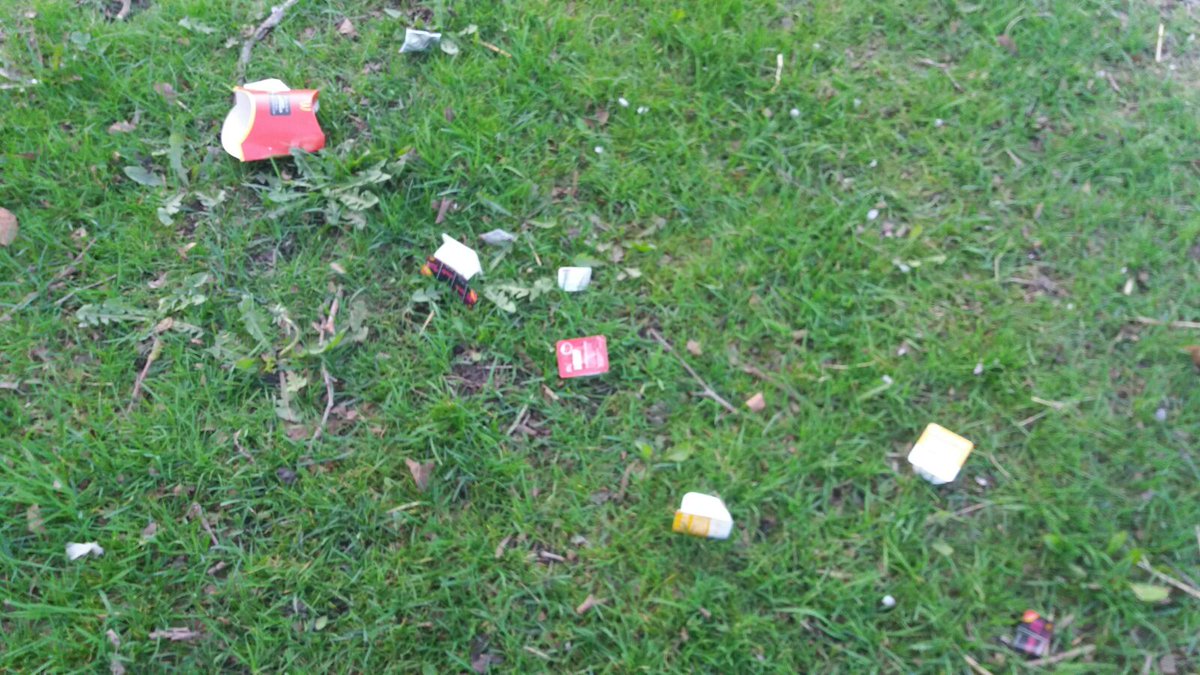 tracetsparkie's tweet photo. @McDonalds sick of the amount of rubbish been thrown from cars half a mile away from the take away! There has to be some kind of responsibly from large companies for their waste! You make a huge profit whilst my local community suffers and our council tax bill too! #MacDonalds https://t.co/T8P0oZSeyx