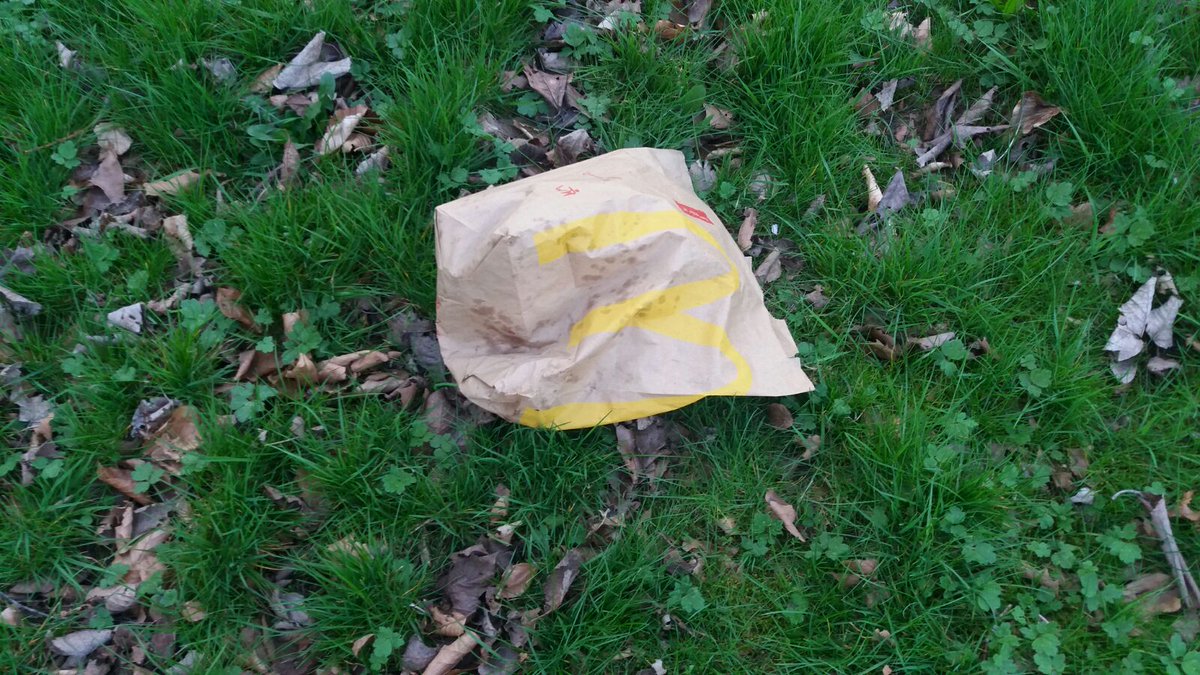 tracetsparkie's tweet photo. @McDonalds sick of the amount of rubbish been thrown from cars half a mile away from the take away! There has to be some kind of responsibly from large companies for their waste! You make a huge profit whilst my local community suffers and our council tax bill too! #MacDonalds https://t.co/T8P0oZSeyx