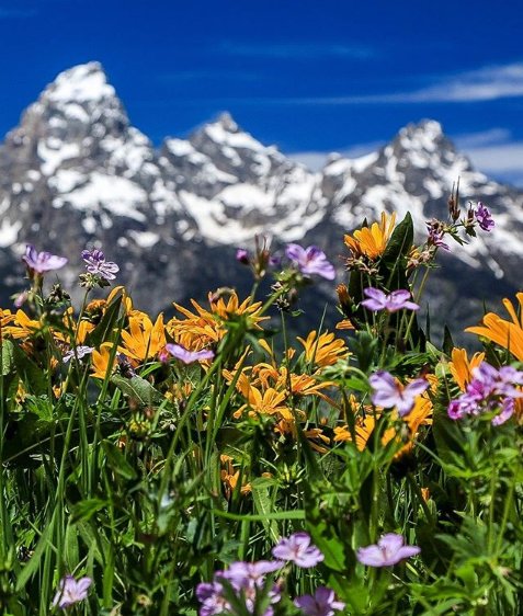 visitwyoming's tweet photo. Have you explored @GrandTetonNPS? Take a look at these 3 day hikes in this #Wyoming national treasure. https://t.co/xeVtOdL3vl #NationalParkWeek #ThatsWY #FindYourPark
📸: https://t.co/8KEqQoxBvX https://t.co/UEMtjEbX3X