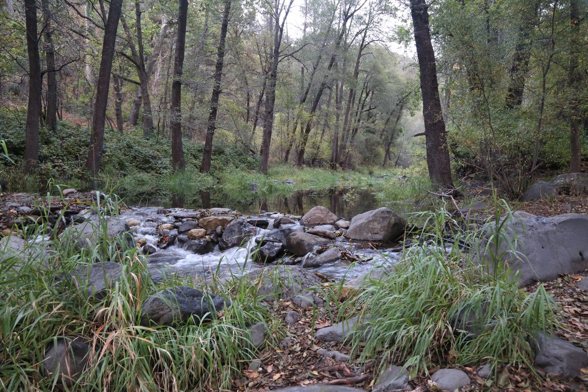 AACD1944's tweet photo. Conservation District help their cooperators obtain the technical, financial and educational assistance they need to maintain healthy watershed, install high efficiency irrigation systems, and to make sound water use decisions every day. https://t.co/icjLrE4pyT