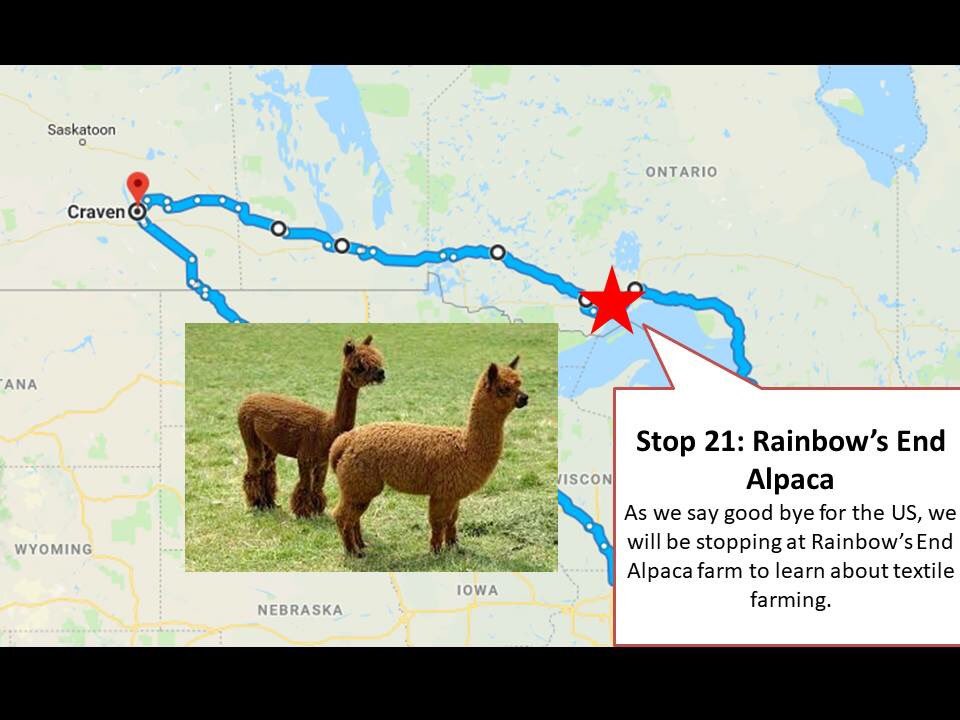 saskagtour's tweet photo. DYK that there is no pot of gold at the end of the rainbow? But there is alpacas! Stop number 21 as #aggiesgowest is Rainbows End Alpacas! 🌈 https://t.co/6UcReFJm3y
