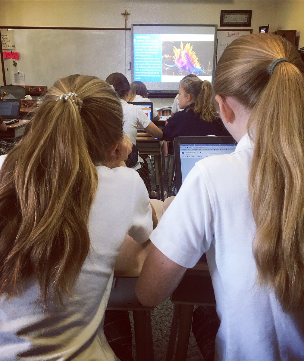 ashlibrary_ms's tweet image. 6th graders honing their paraphrasing skills for their immigration research papers! #researchskills @ASHRosary