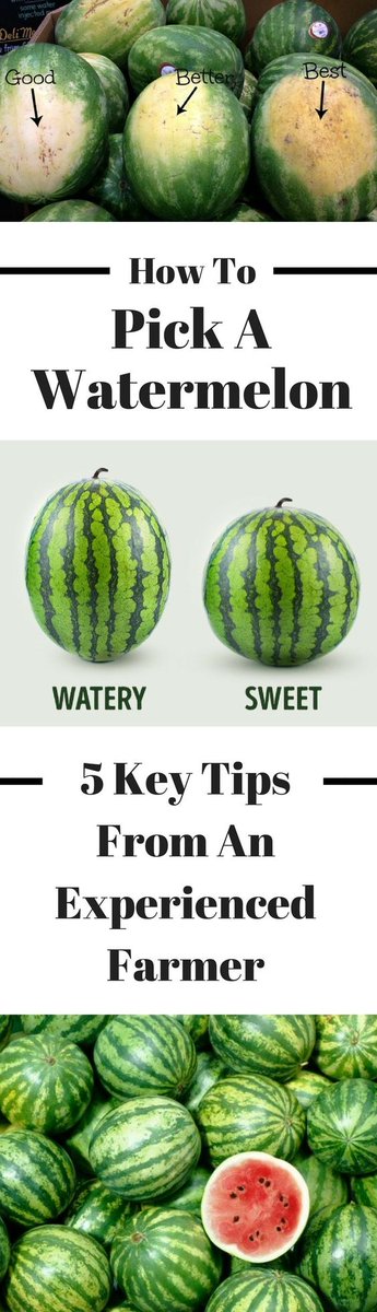 FRNsiue's tweet photo. #FoodFactFriday 

Pick the Perfect Watermelon: 

https://t.co/4ZuWa1ocSQ

#isitsummervacationyet? https://t.co/TFF4UYFeSO