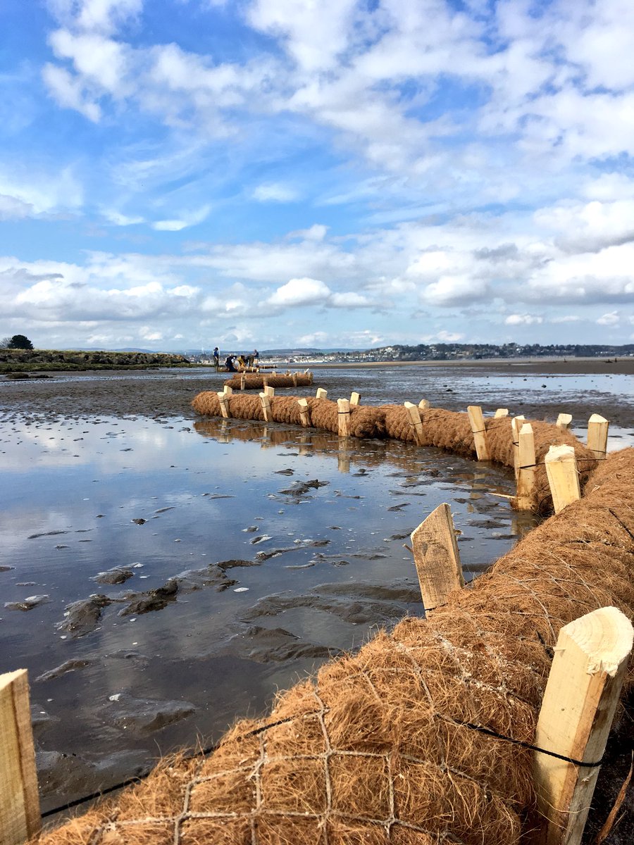 Great day of manual labour putting in #biorolls with the #mudlab group on the #tayestuary as part of #greenshores. #sunny fieldwork is the best kind! 

#restoration #saltmarsh #EcosystemServices #coastalprotection
@univofstandrews