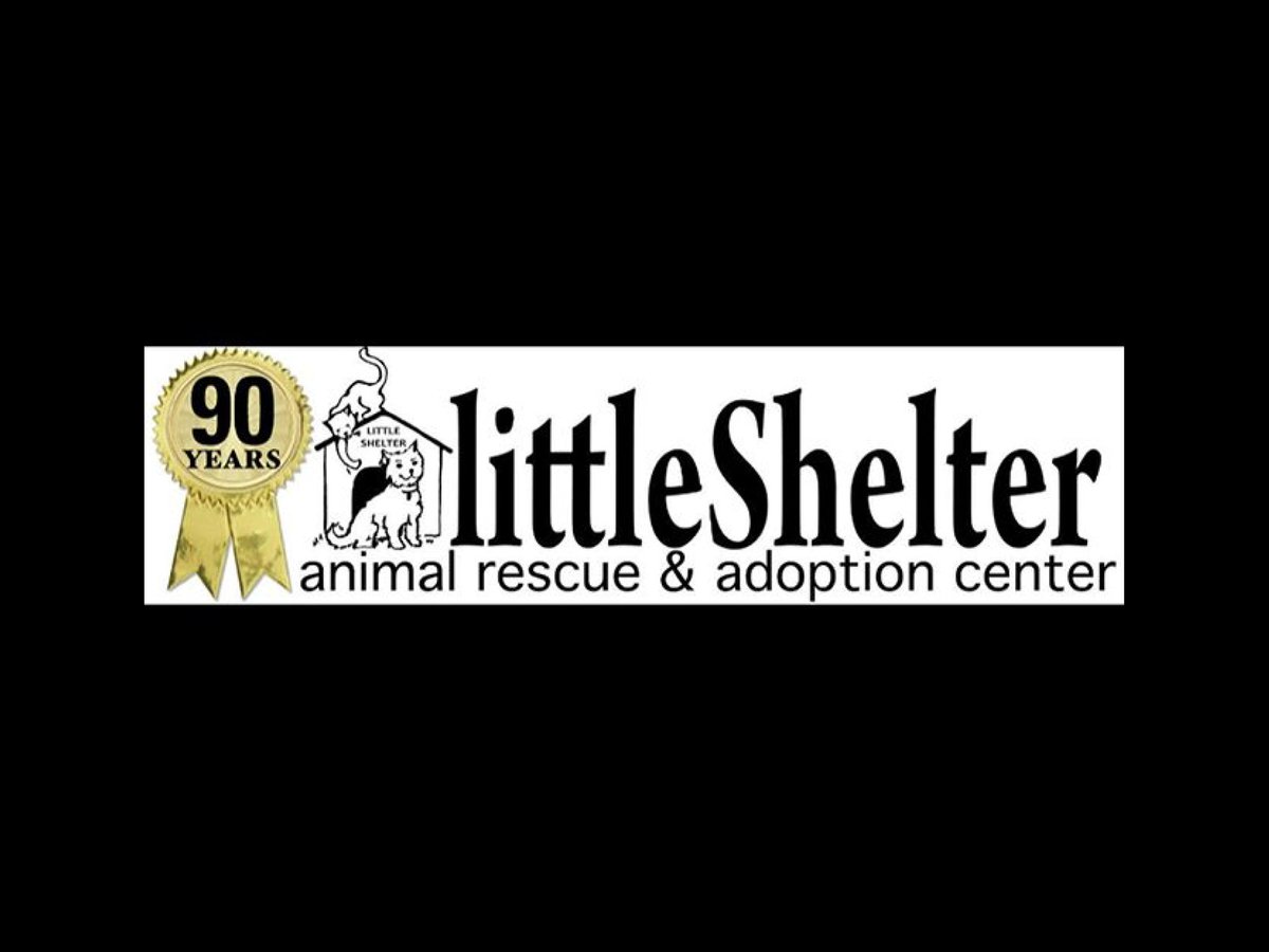 littleshelter's tweet photo. 5th Annual Blessing of the Animals in Centerport benefiting @littleshelter BBQ Lunch, Live Band, Pet Kissing Booth, Entertainment. Pets of all kinds welcome 🐾❤️🐾 #fetchstyle #earthday #blessingoftheanimals #longislanddogs #rescueevent #bestoflongisland #centerport #RETWEEET https://t.co/Ve4i7zpHhn