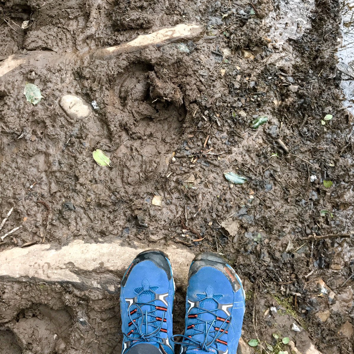 gpcroft's tweet photo. If you want to know the best footwear to buy for walking, just have a look at what the shop owner is wearing! Thanks Jane 💙
#treksta #shoplocal @crickadventure https://t.co/7LVRCU6M8g