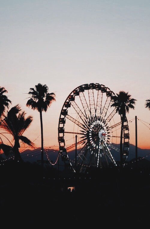 dallaesthetic's tweet photo. https://t.co/ifQAc81IZF