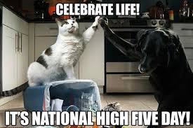 TripleJCleanin's tweet photo. Happy Thursday! It's #NationalHighFiveDay
#ThursdayThought #ThursdayThoughts #ThursdayMotivation https://t.co/41tQId96l4