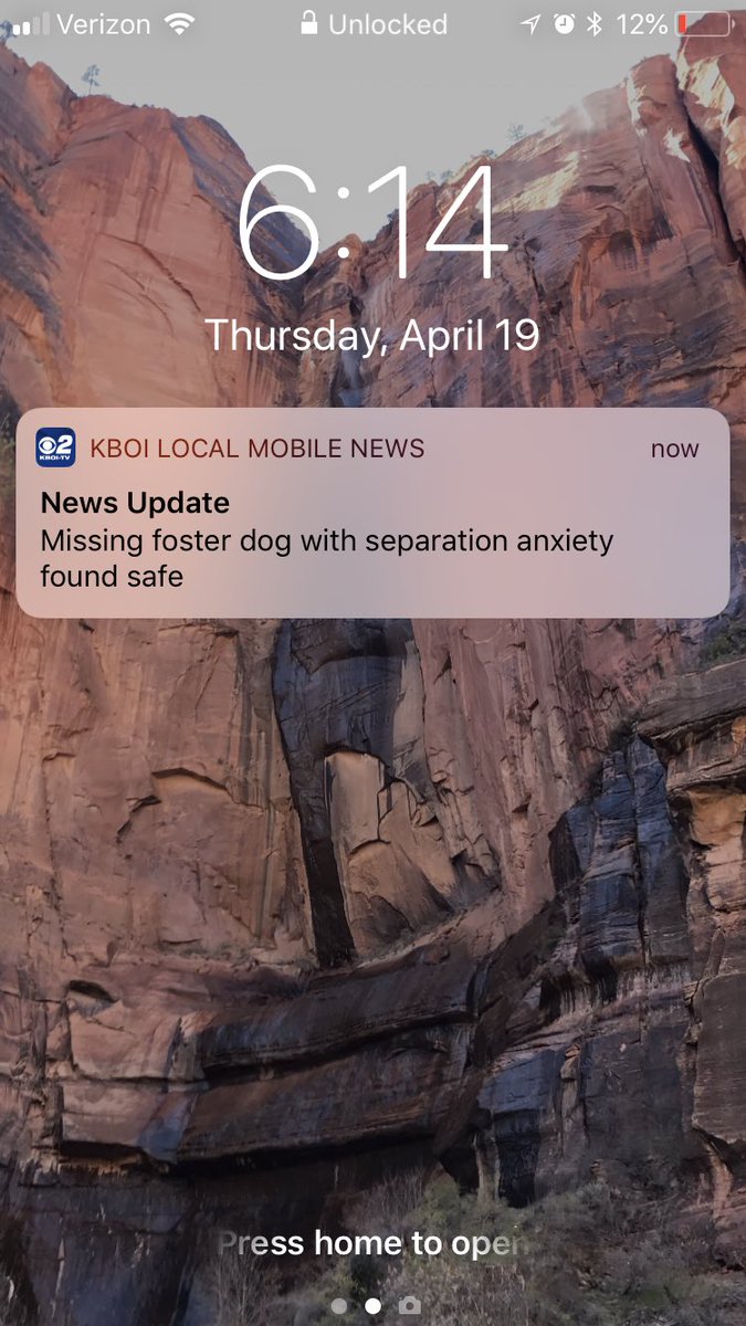 tylerhurstID's tweet photo. Is this really happening ? A news alert about a dog?! https://t.co/HRVJkNjkpb