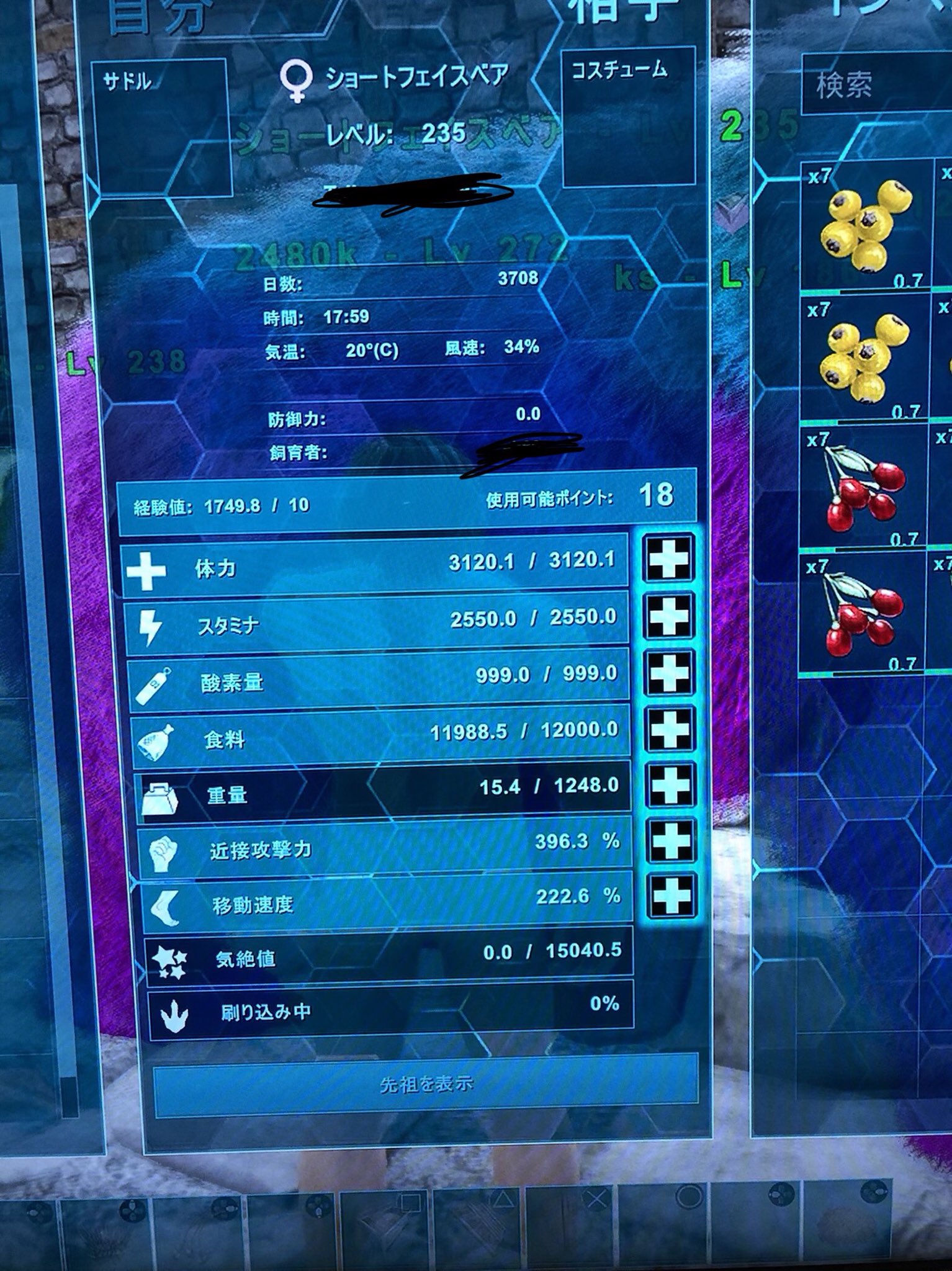 Pc Ark Pve ワイバーン 実績34 בטוויטר 本日より変異ショートフェイスベアの育成開始いたします 初期ステ載せておきます すぐに完売してしまいますのでご予約お早めに 価格は00円になります 変異レックス卵も販売いたします 初期攻撃400超 Pc Ark Pve ワイバーン 実績34 בטוויטר 本日より変異ショートフェイスベアの育成開始いたします 初期ステ載せておきます すぐに完売してしまいますのでご予約お早めに 価格は00円になります 変異レックス卵も販売いたします 初期攻撃400超