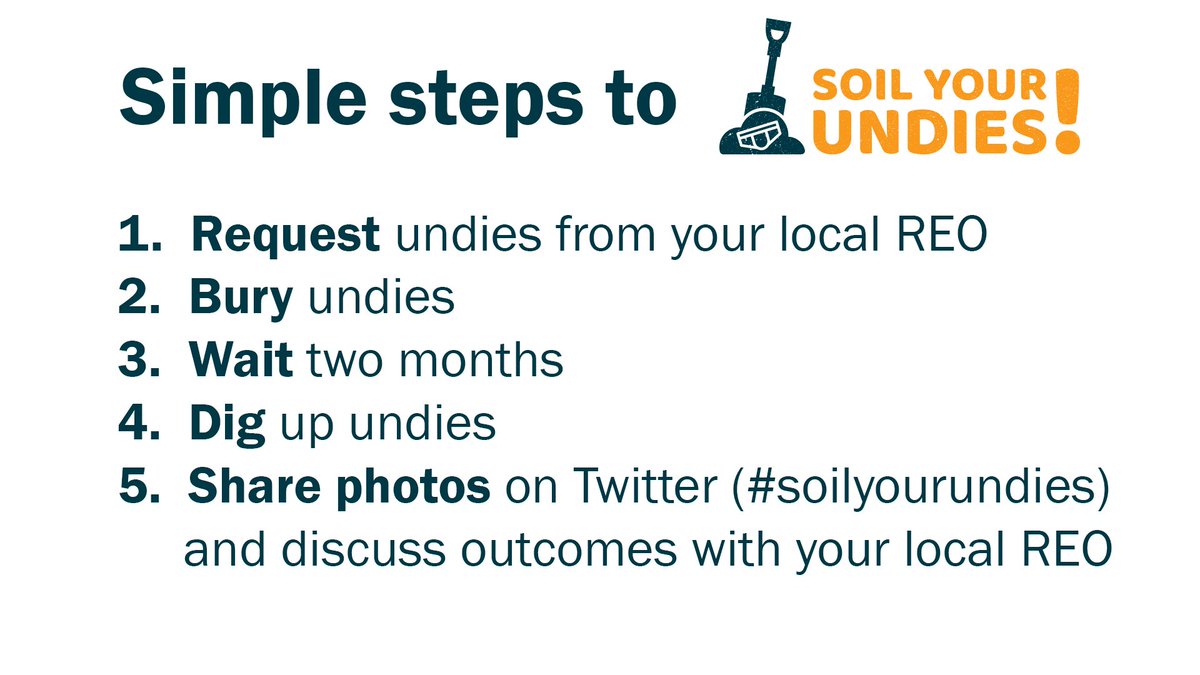 There are just five simple steps to #soilyourundies and find out about the health of your soil. Grab your undies from your local <a href="/CottonInfoAust/">CottonInfo</a> REO <a href="/SallDickinson/">Sally Dickinson</a> <a href="/AthomasAmanda/">Amanda Thomas</a> <a href="/KokeeffeK/">kokeeffe</a> <a href="/NellMontH2O/">Janelle Montgomery</a> <a href="/sharnaholman_/">Sharna Holman</a> &amp; Annabel Twine today! #agchatoz #ausag #cotton #cotton18