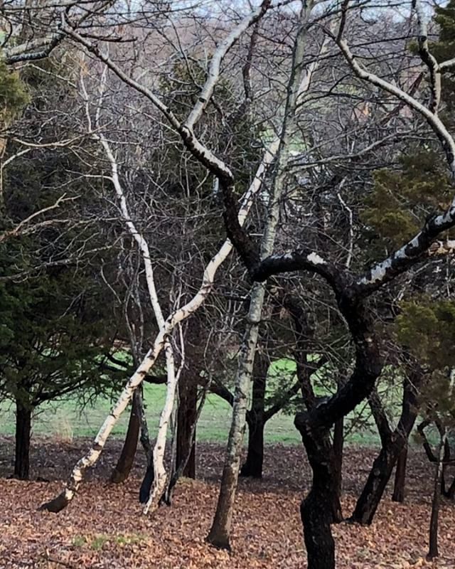 OnePlanetEN's tweet image. ift.tt/2qLwOQI