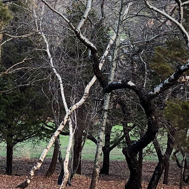 OnePlanetEN's tweet image. ift.tt/2qIkroy