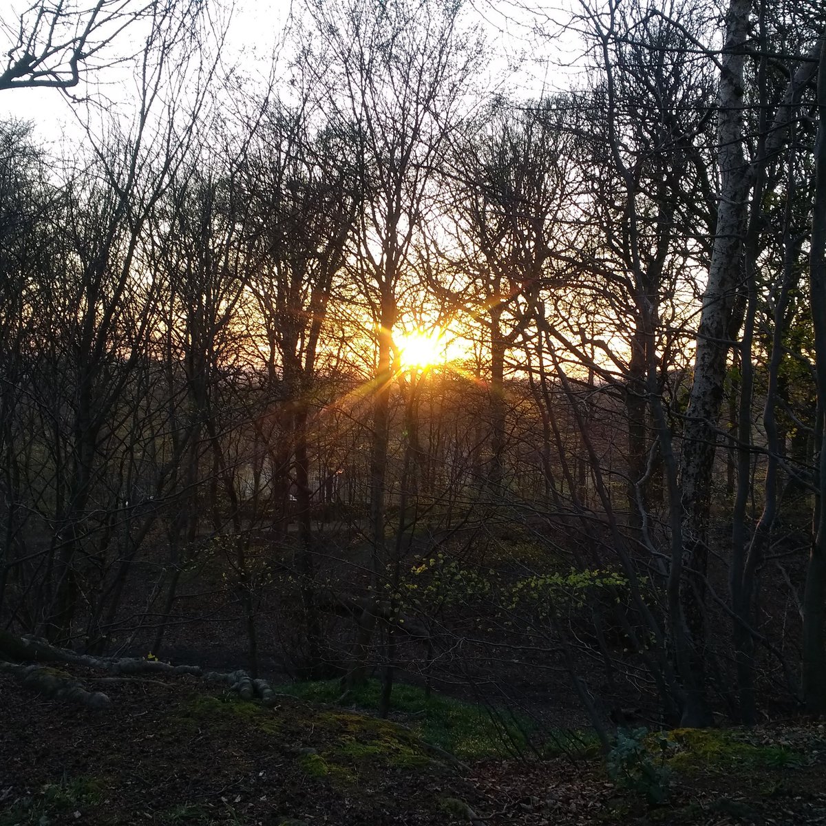 The end to a lovely day of sunshine here in #Headingley. Where is your favourite place to enjoy the sun in #Headingley? #Leeds ☀️😎☀️