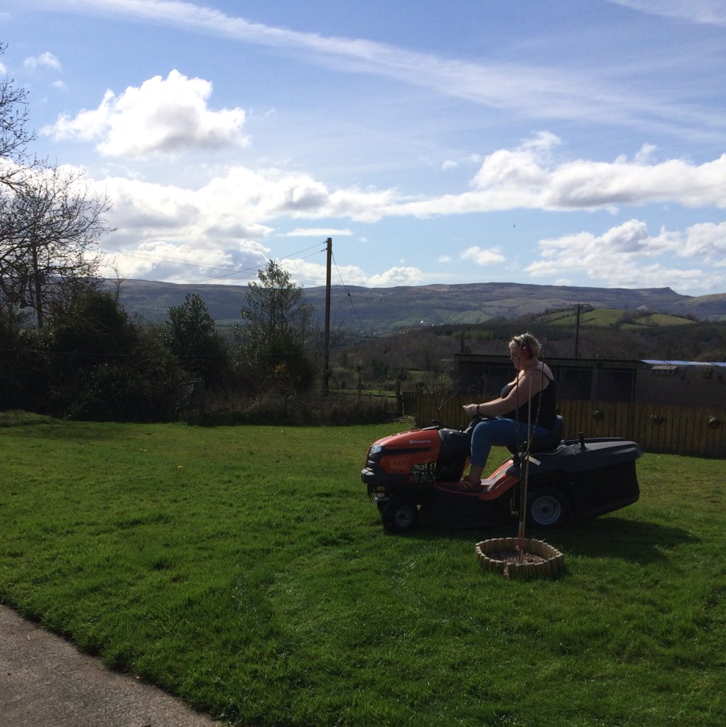 bakedinbelfast's tweet photo. The boss cutting the grass ‘artistically’....#picass-mow https://t.co/RWYhcKCQta