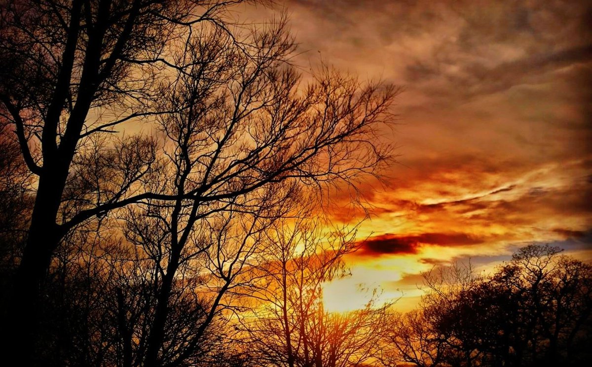 Chris Garner tweet media