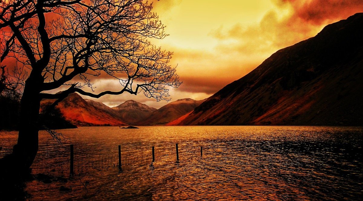 Chris Garner tweet media