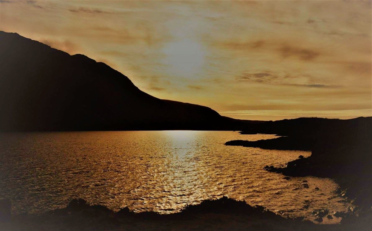 Chris Garner tweet media