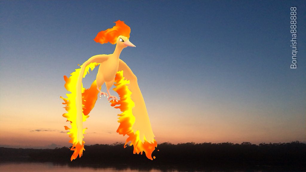 Bonquisha888888's tweet image. Morning 🌅 #Moltres #PokemonGO #ARPlusMode #ARPlus #ARPhotosOfTheDay