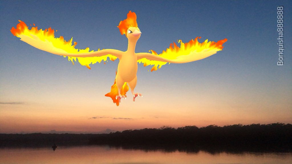 Bonquisha888888's tweet image. Morning 🌅 #Moltres #PokemonGO #ARPlusMode #ARPlus #ARPhotosOfTheDay