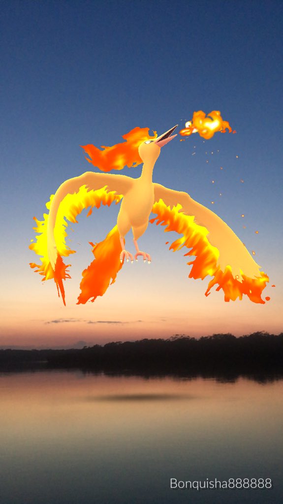 Bonquisha888888's tweet image. Morning 🌅 #Moltres #PokemonGO #ARPlusMode #ARPlus #ARPhotosOfTheDay
