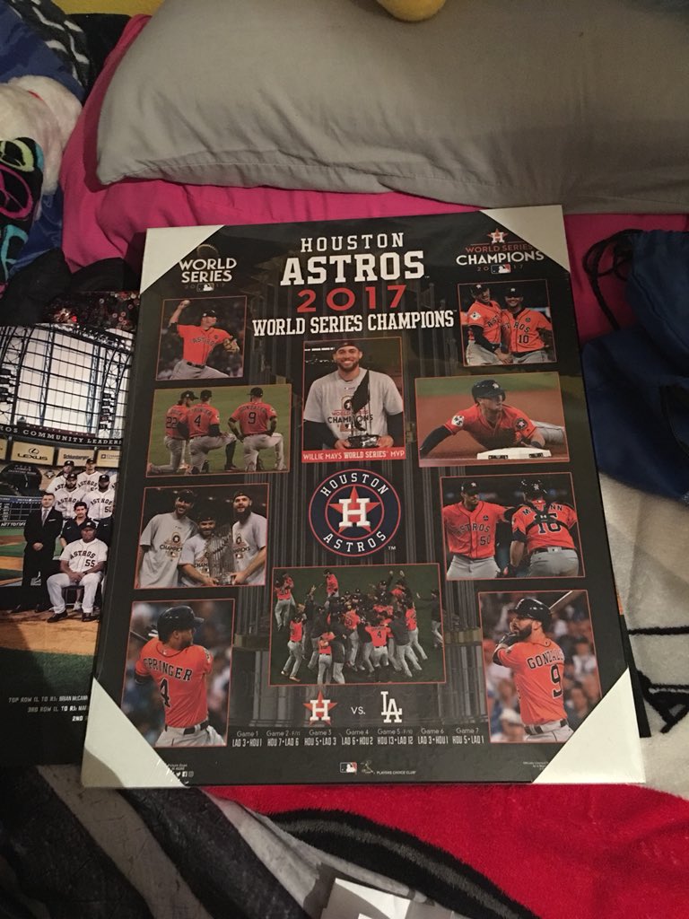 EricaSyptak's tweet photo. I am an ultimate @astros fan because I have the @astros in my front yard, have the @astros on my car, and have a picture of the @astros World Series. #ULTIMATESWFANNTX @JuliaMorales @blummer27 @ATTSportsNetSW @RealToddKalas @RyGo_17 @LindseyFOX26 @OrbitAstros https://t.co/6cAg9F7lR7