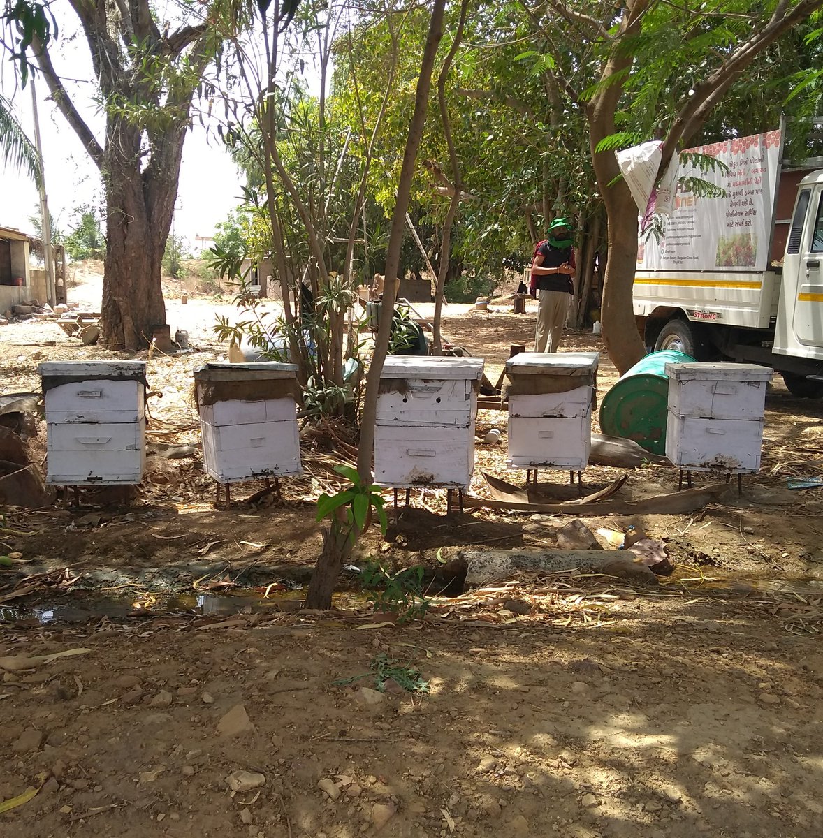 yash_apiary's tweet photo. #honey #super are up.. #extraction #starts in a week to ten days. #golden #amber coloured #sweet #honey
#sweetrevolution 
#yashhoneyandapiaryproducts 
#Yashhoney 
#startupindia 
#startup https://t.co/lWsUZnXmyn