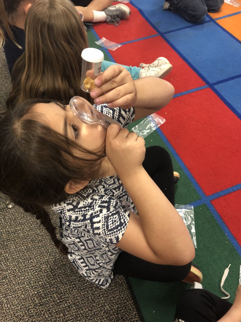 mshuntcounselor's tweet photo. “From a small seed a mighty trunk may grow.” 🌱 Kinder kiddos are #ExploringPlants by observing and planting seeds. #StoryofMason https://t.co/e4n6LUvaIL