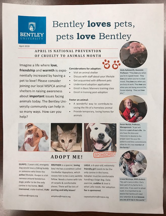 A terrific initiative from students in the <a href="/bentleyu/">Bentley University</a> BMBA class. Tips and advice for finding and caring for a new pet. Thanks for stopping by my office with the flyer, Alina, Juliana, Maja and Pauline!