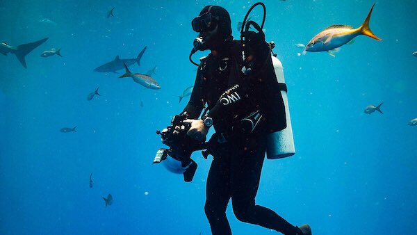 RidleyScottCG's tweet photo. #IntoTheNowVR “is much more than just sharks.” @TheVillagerNYC shares how projects like this one from @MichaelMuller77 are making #VR a more tangible and social experience: https://t.co/9ZxUywrrja #RSAVR https://t.co/ktf19HyL0J