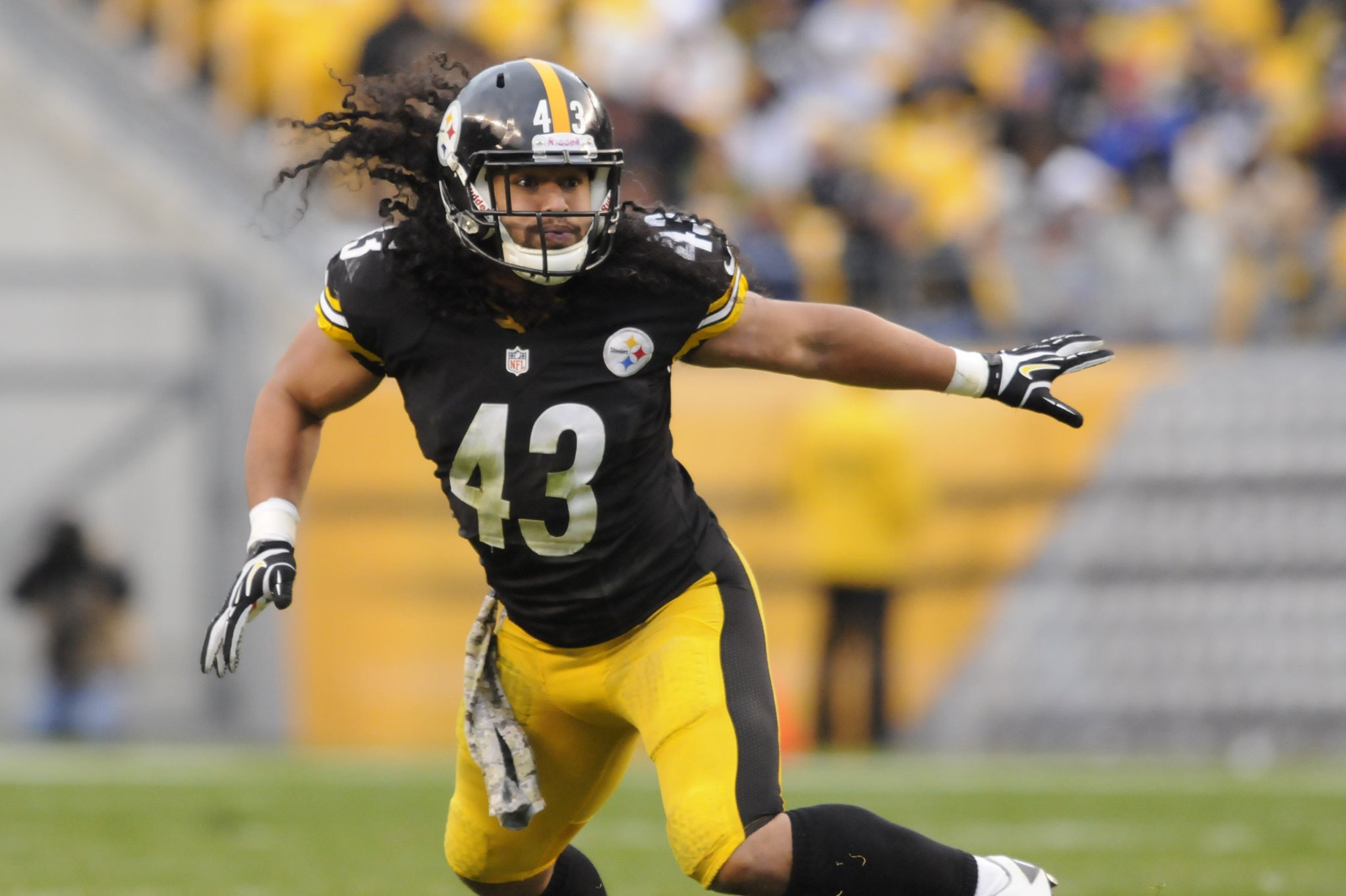 Happy Bday Troy Polamalu, the fukin Goat 