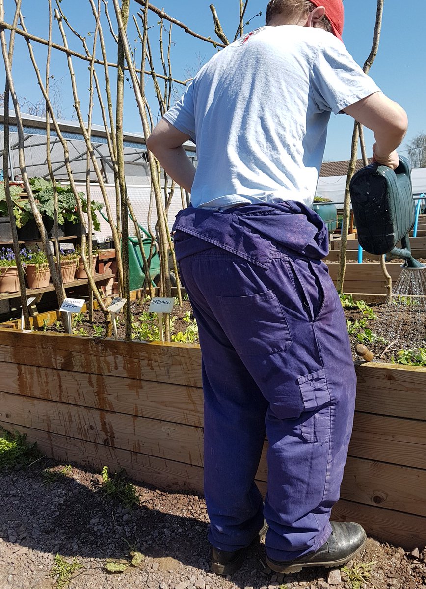 growandsow's tweet photo. That was warm! Still, time to plant and water in our sweet peas. #WarmestDayOfTheYear @growandsow @Hftonline #Rowde https://t.co/qIe3TwTMDb