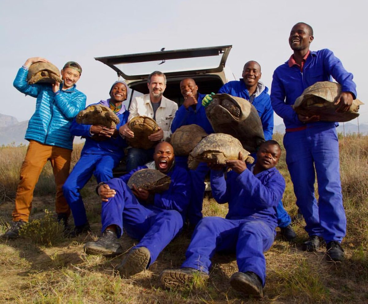 turtletweets's tweet photo. #InternationalTurtleandTortoiseWeek has inspired us all to shellebrate our #TurtleHeroes! Here’s an amazing team of Turtle Heroes we had the honor of protecting turtles alongside in South Africa! https://t.co/YvNYkEhDq2