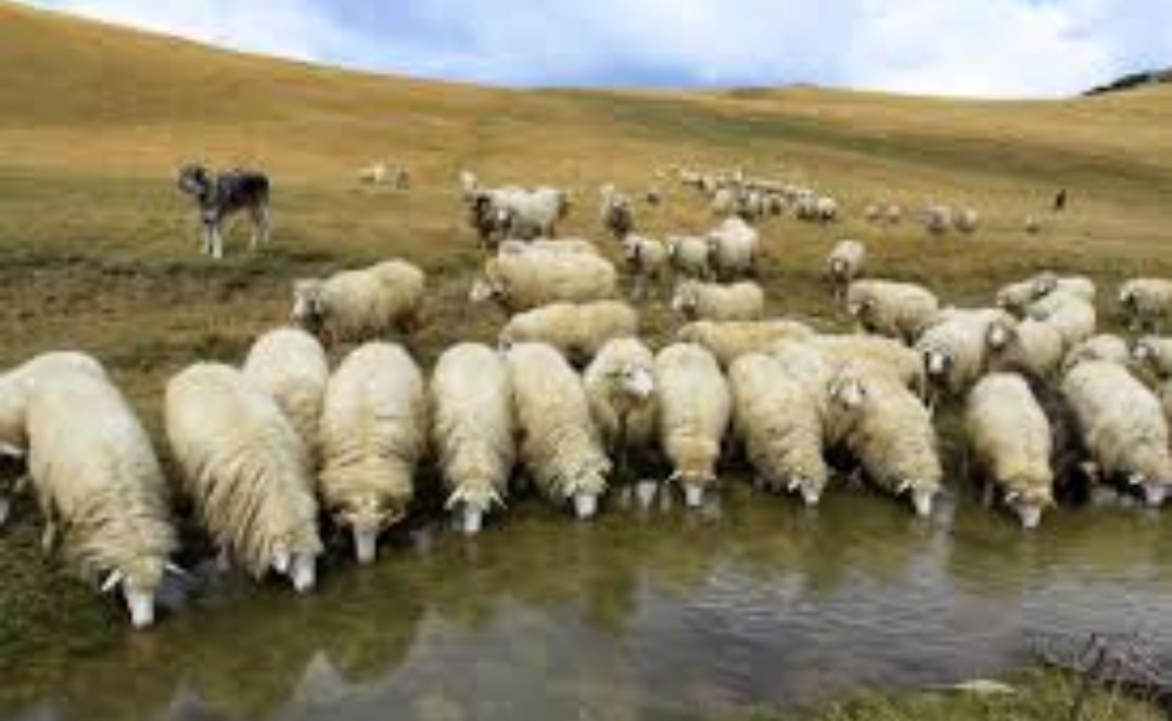 Avui uns quants militants de Ciutadans s'han acostat a beure a la font. Moltes gràcies pel vostre suport!