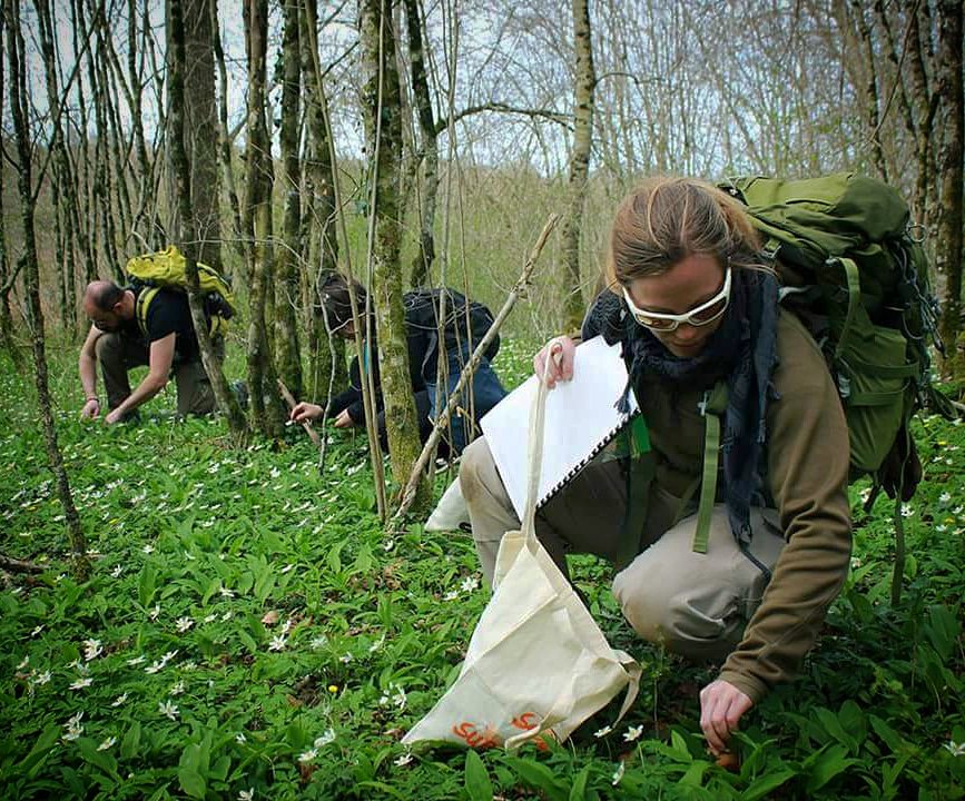 Stage sur la cueillette sauvage ! Des info sur t-o-t.fr
#survie #cueillette #botanique #stagedesurvie