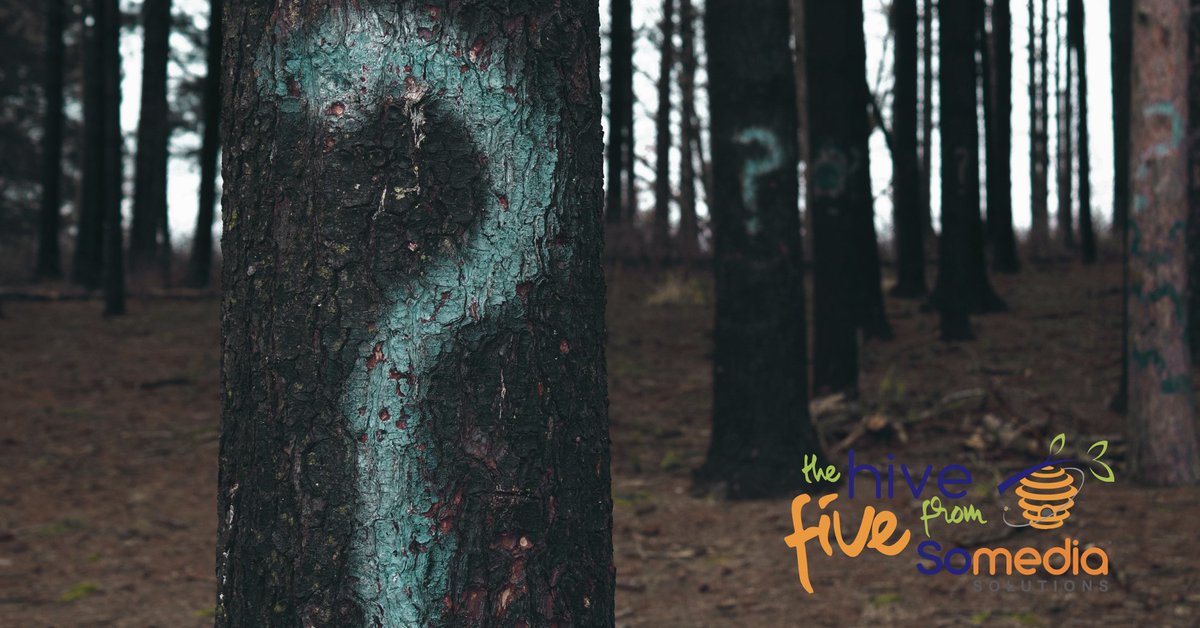 Somedia Solutions tweet media