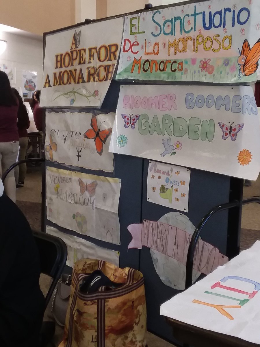 MonarchButterf7's tweet photo. Student's ideas for the garden. I can't wait to see who wins
#mortonpride
#MonarchExhibition https://t.co/gCB580nvhP
